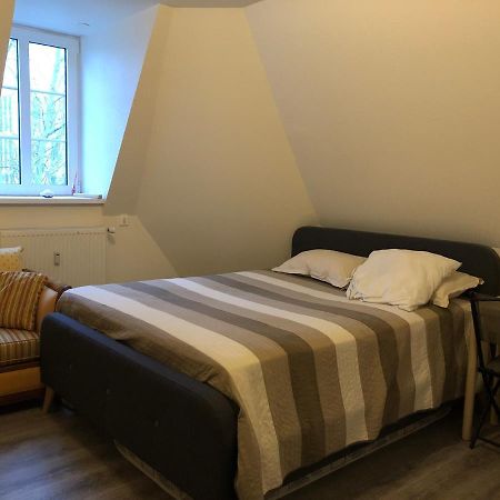 Logement Entier Proche Gare Et Centre Ville Lejlighed Mulhouse Eksteriør billede