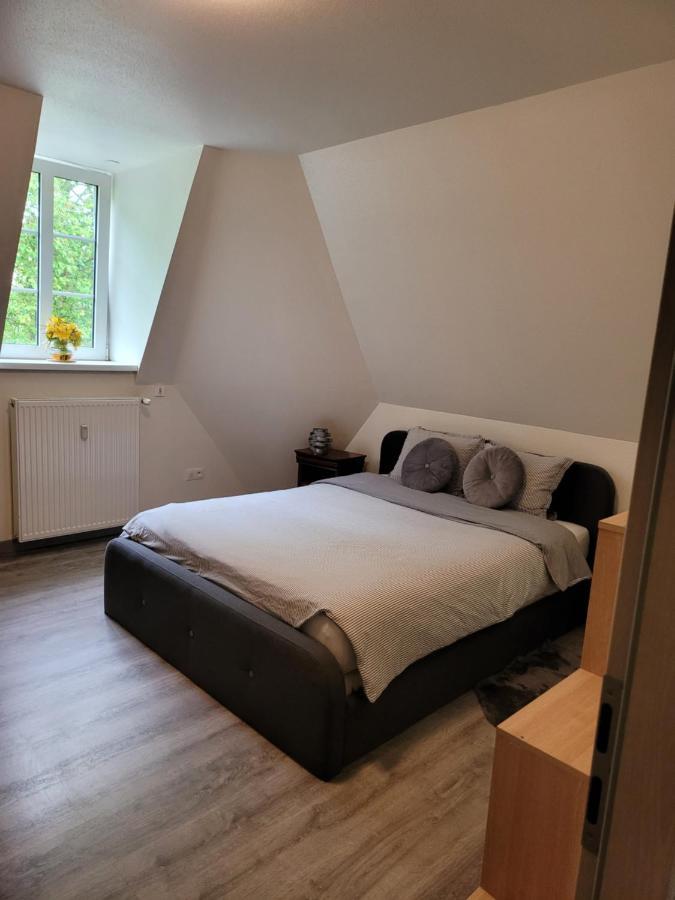 Logement Entier Proche Gare Et Centre Ville Lejlighed Mulhouse Eksteriør billede